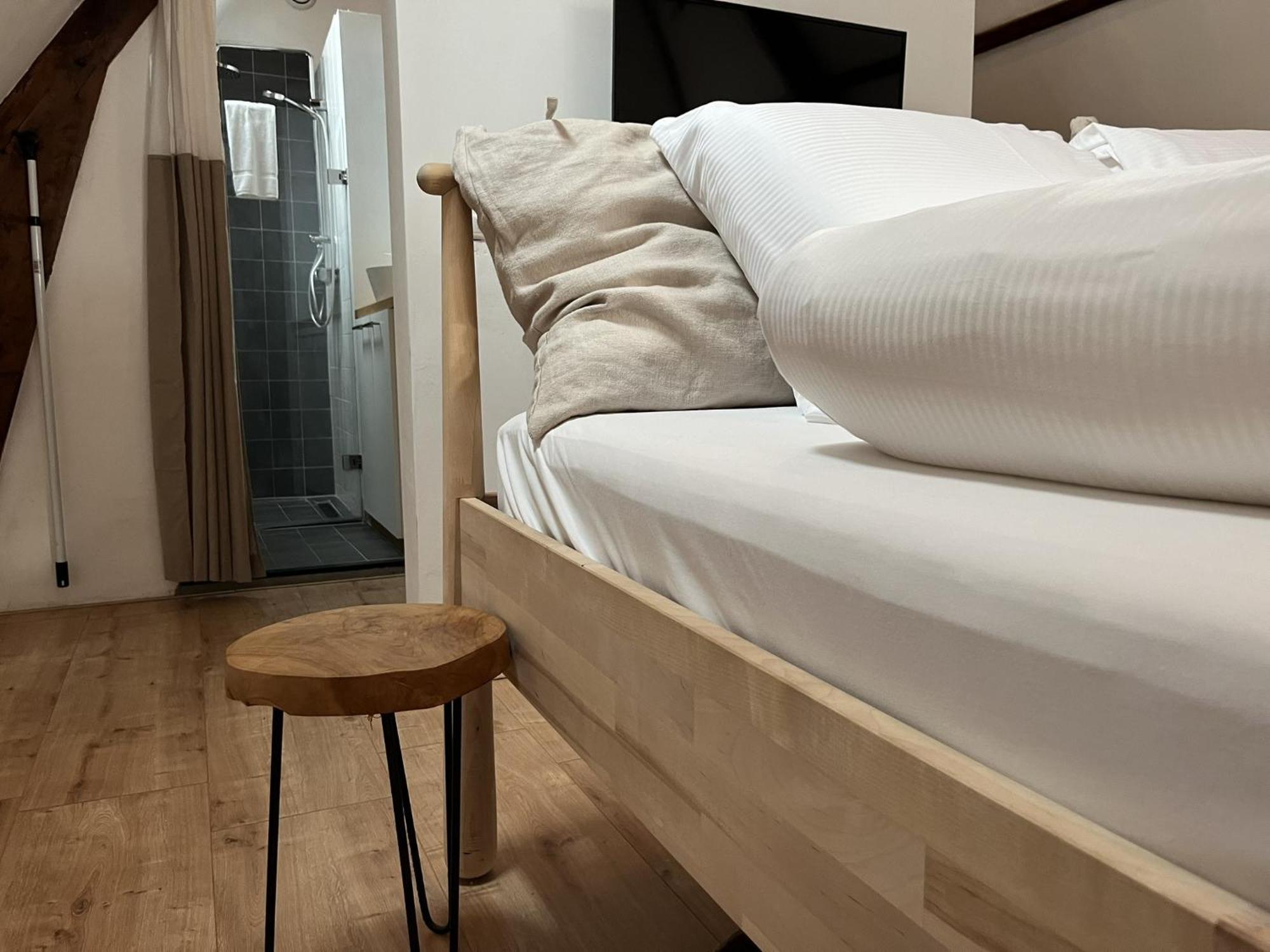 Sfeervolle Monumentale Woning, In Het Centrum Appartement